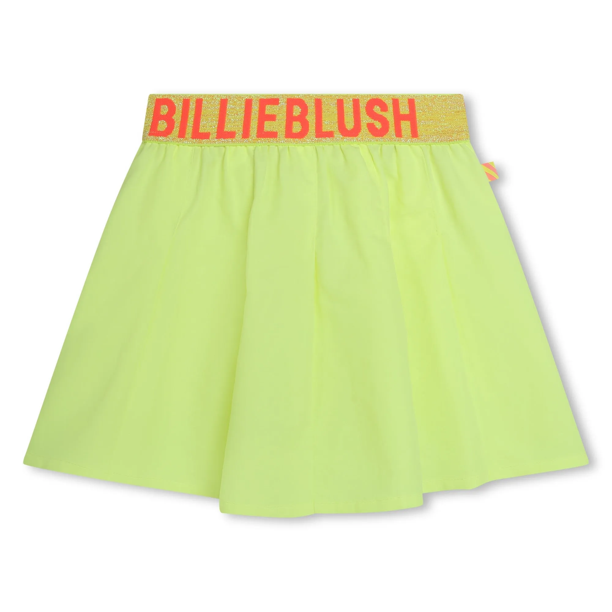 Pleated Elastic Waist Skirt