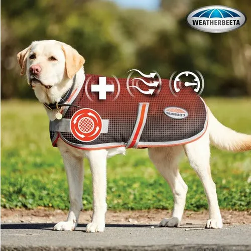 WeatherBeeta 1200D Therapy-Tec Dog Coat FREE GIFT WITH PURCHASE